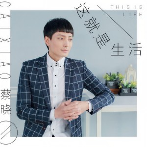 蔡曉的專輯這就是生活（DJ小剛）