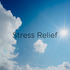 Dengarkan Sound Of Rain For Sleep lagu dari Yoga dengan lirik