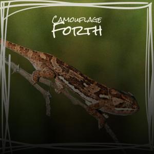 Listen to Chill Blackflies song with lyrics from Coli Mett
