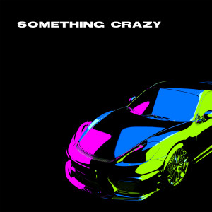 收聽Fancy Feelings的Something Crazy (Extended)歌詞歌曲