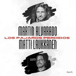 ดาวน์โหลดและฟังเพลง Los Pajaros Perdidos พร้อมเนื้อเพลงจาก Martin Alvarado
