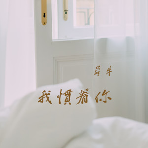 Listen to 我慣著你 song with lyrics from 犀牛