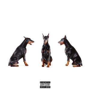 Vincent Jxmes的專輯VIN DOG (Explicit)