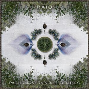 ดาวน์โหลดและฟังเพลง Bichinho na Mata (Temple Step Project Remix) พร้อมเนื้อเพลงจาก Raio
