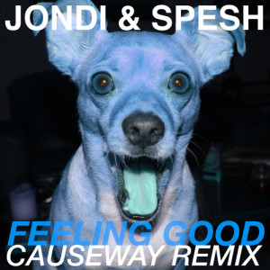 Jondi的專輯Feeling Good (Causeway Remix)