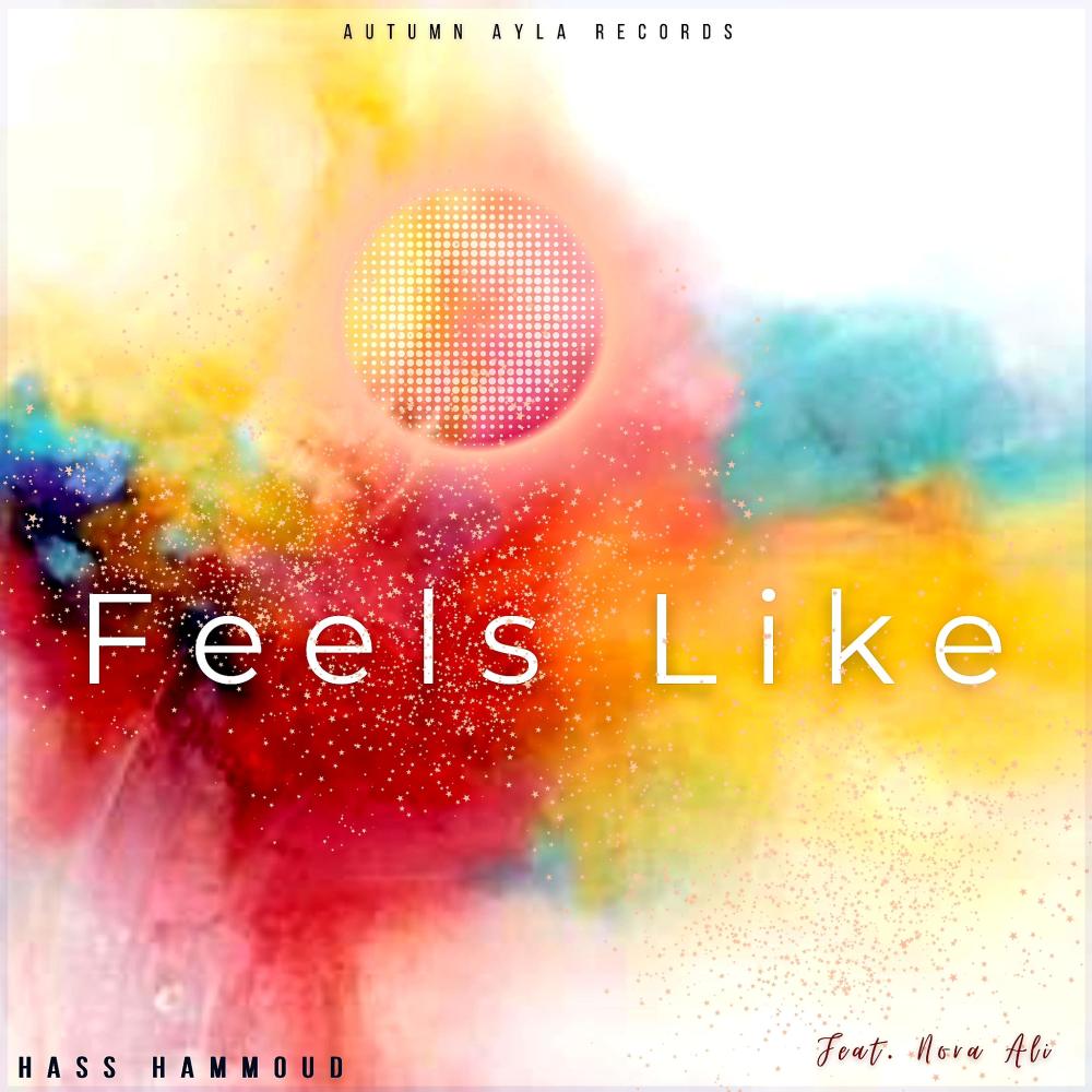 Feels Like (feat. Nora Ali)