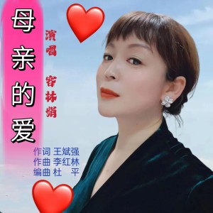 Album 母亲的爱（容林娟版） from 王斌强