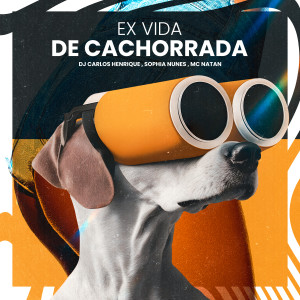 收聽Dj Carlos Henrique的Ex Vida de Cachorrada歌詞歌曲