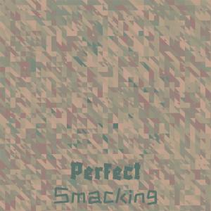 Various Artists的專輯Perfect Smacking