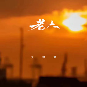 Listen to 老大 (女生DJ版伴奏) song with lyrics from 空