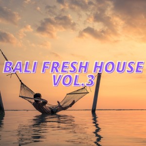 Album Bali Fresh House Vol.3 from Various