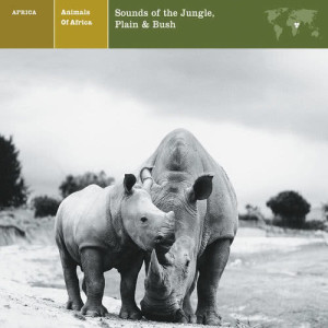 收聽ANIMALS OF AFRICA Sounds of the Jungle的Rhinoceros歌詞歌曲