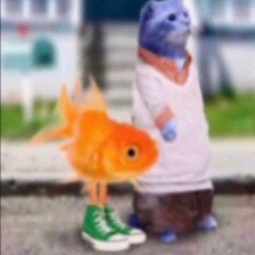 fly (Explicit)