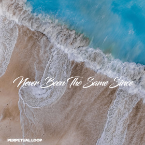 Listen to Never Been The Same Since song with lyrics from Perpetual Loop