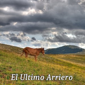 Listen to Anhelo Tus Besos song with lyrics from Mary Albater