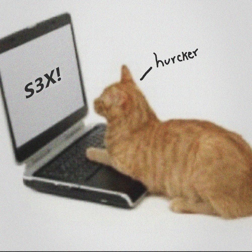 S3X!
