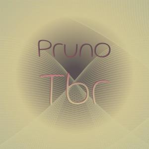 อัลบัม Pruno Tbr ศิลปิน Various