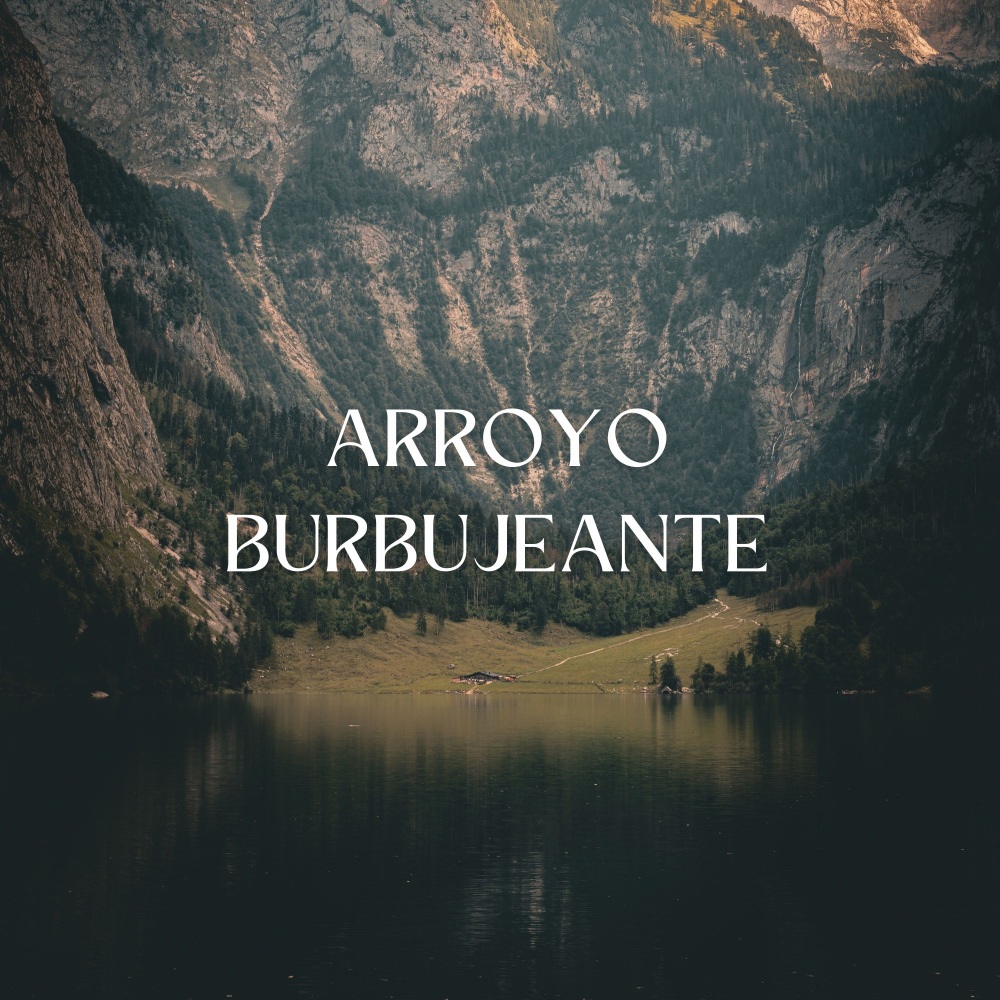 Pureza Y Música De La Corriente