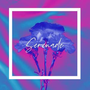 Album Serenade from Arnold Stone
