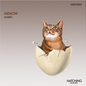 Album Meaow from Dasero