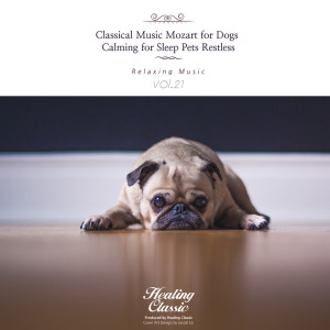 Album Classical Music Mozart for Dogs, Calming for Sleep Pets Restless oleh Healing Classic