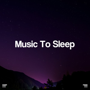 !!!" Music To Sleep "!!!