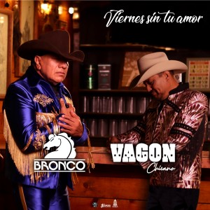 Listen to Viernes Sin Tu Amor song with lyrics from Vagon Chicano