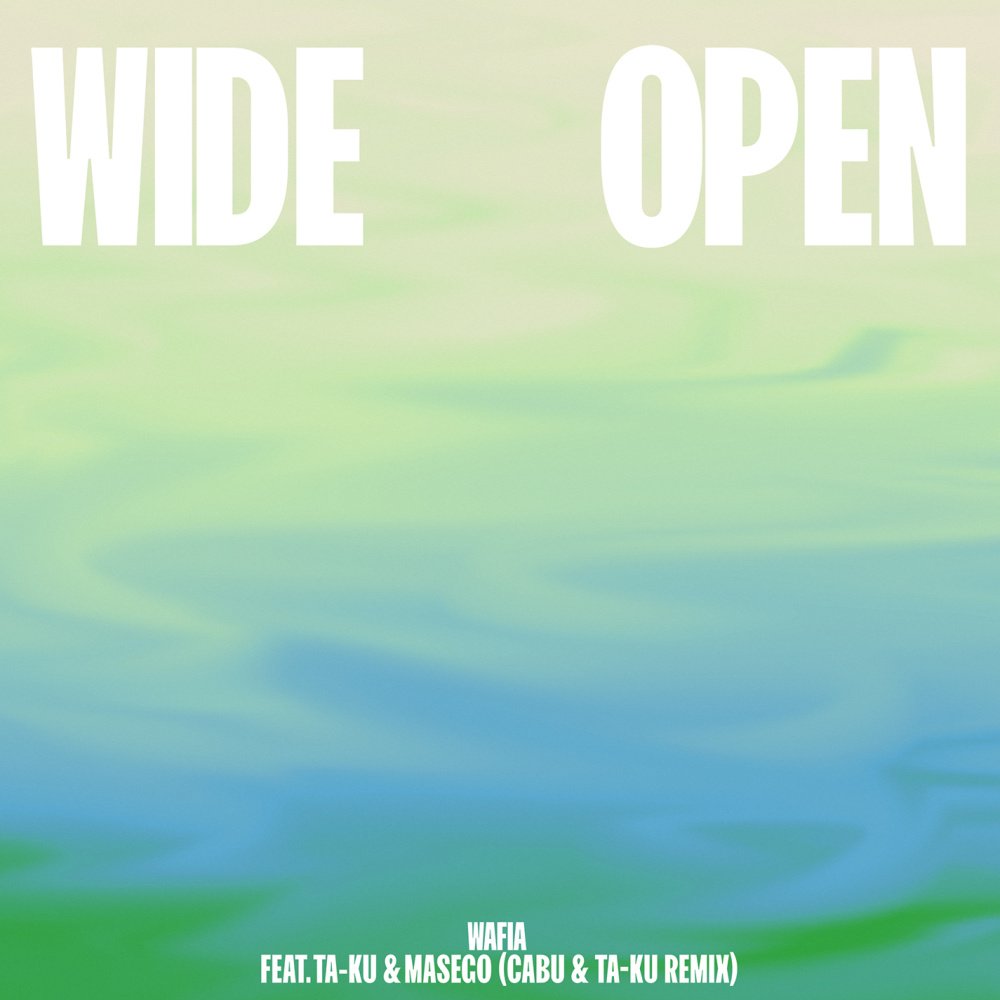 Wide Open(feat. Ta-ku & Masego) (Cabu & Ta-ku Remix)
