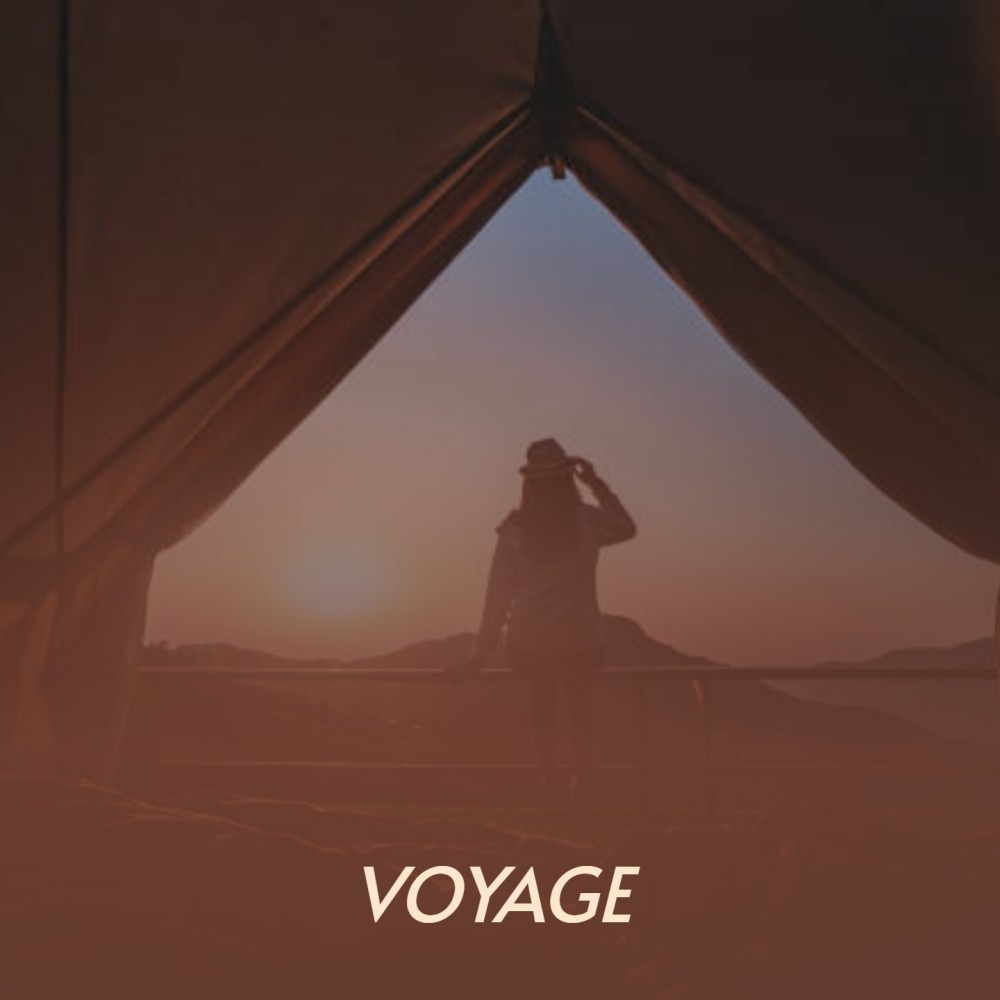 Voyage to the Bottom of the Sea