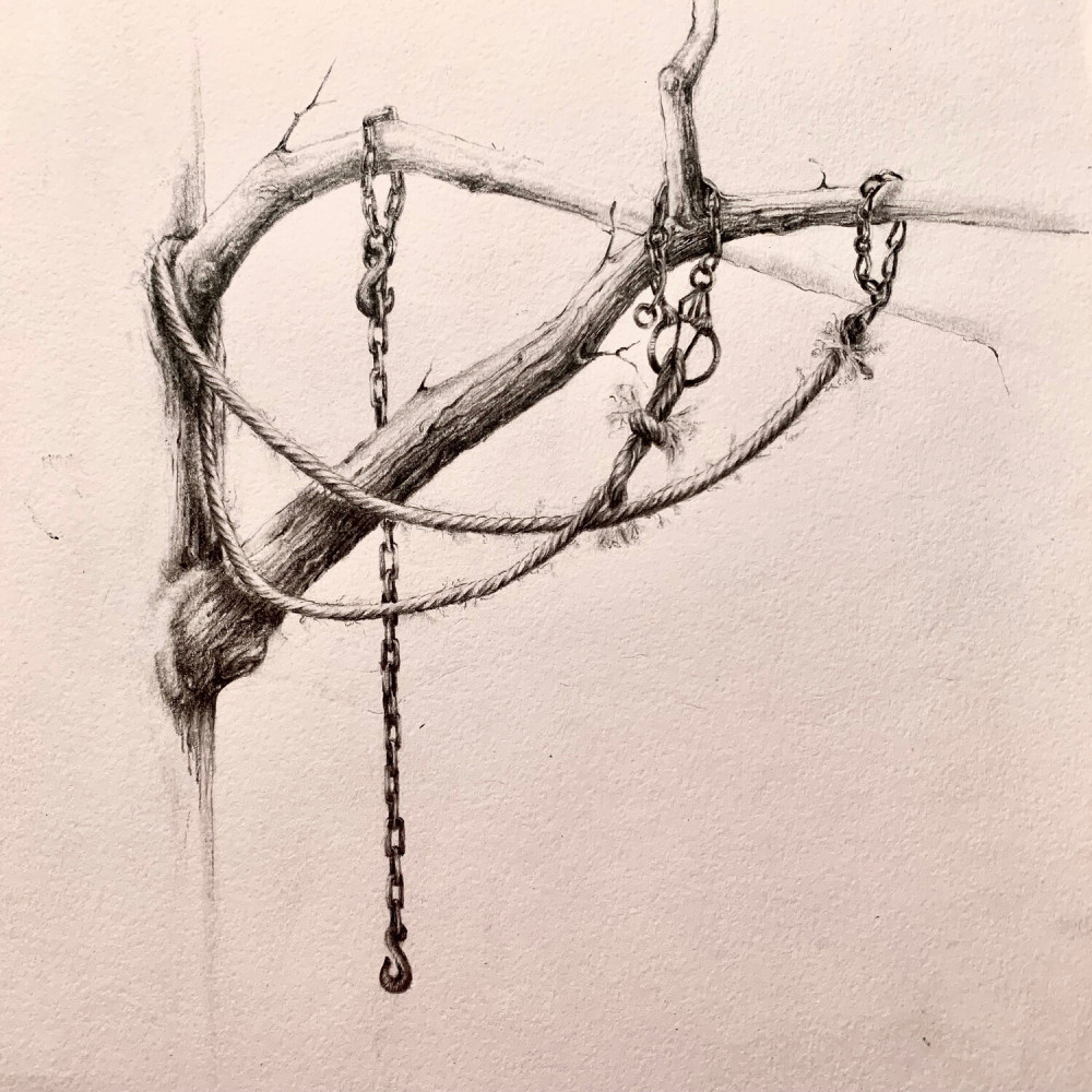 Nine