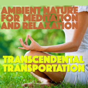 Album Transcendental Transportation: Ambient Nature for Relaxation and Meditation from Ultimate Om