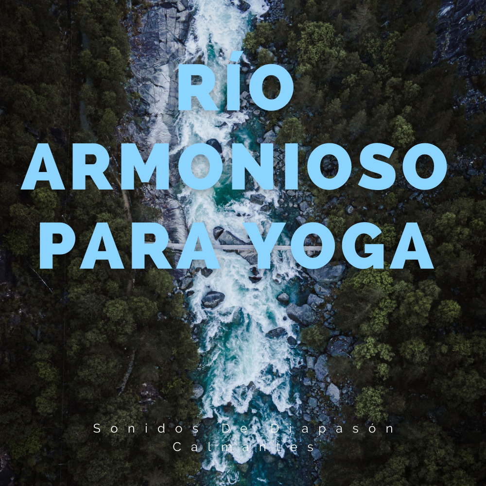 El Borde Del Agua Savasana