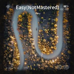 Album Easy (Not Mastered) from Pony