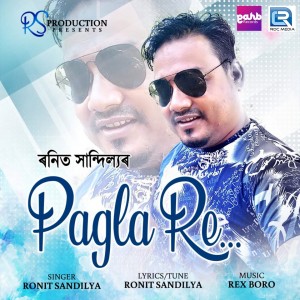 Listen to Pagla Re song with lyrics from Ronit Sandilya