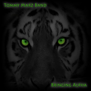 Listen to Star song with lyrics from Tommy Marz Band