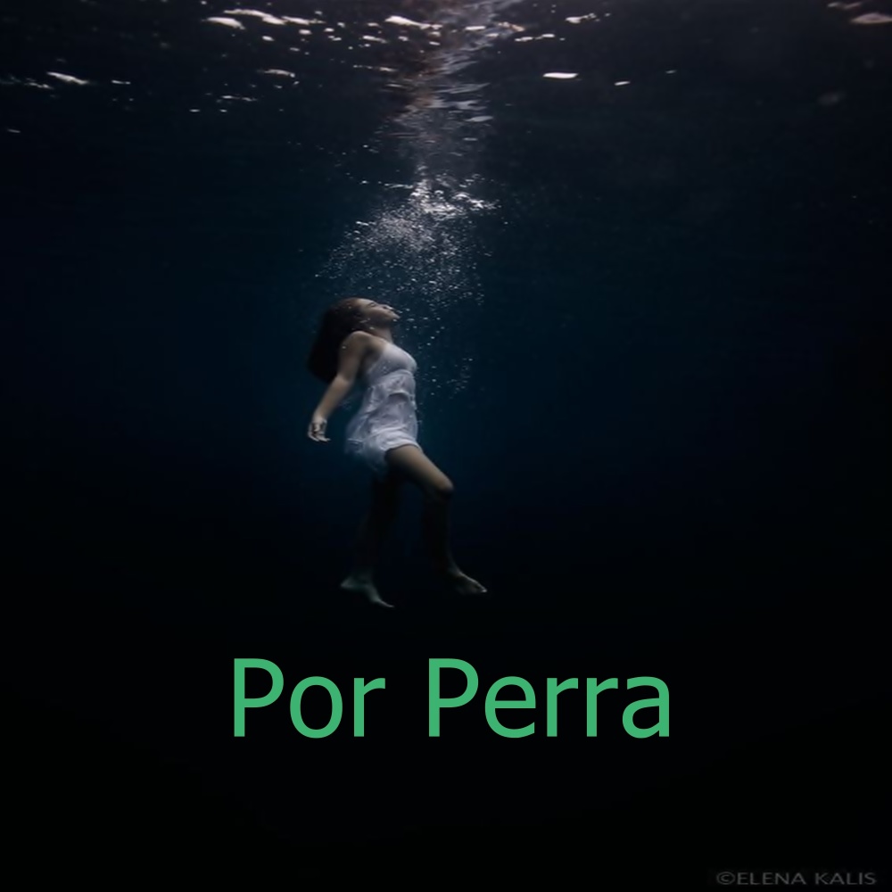 Por Perra