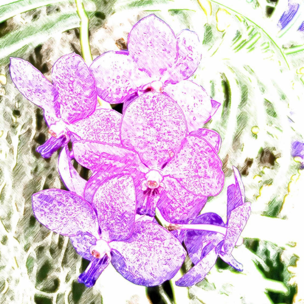 The Purple Box From The Red River