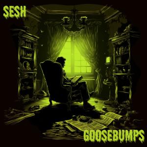 อัลบัม Goosebumps Theme ศิลปิน Sesh