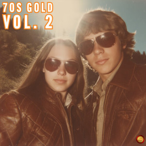 Album 70's Gold Vol. 2 from Various Artists