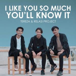 收聽Tereza的I Like You So Much, You’ll Know It (Acoustic)歌詞歌曲