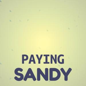 Paying Sandy dari Various