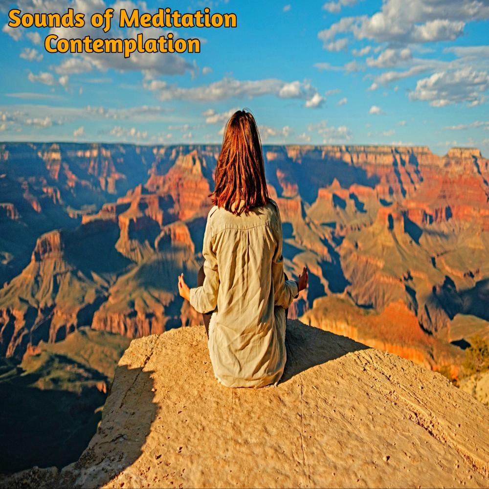 Contemplation