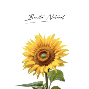 Album Bonita Natural oleh Esteban Said