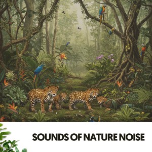 Música Relajante Para Leer的專輯Sounds of Nature Noise: Harmonies of the Earth