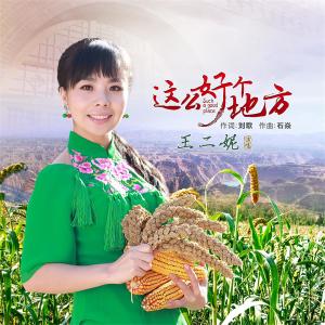 收聽王二妮的這麼好個地方 (伴奏)歌詞歌曲