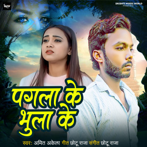 Listen to Pagla Ke Bhula Ke song with lyrics from Amit Akela