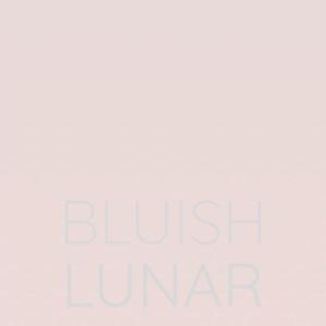 Various Artists的專輯Bluish Lunar