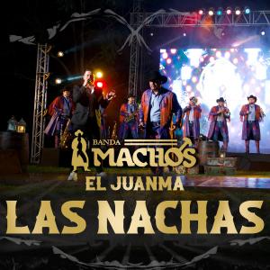Banda Machos的專輯Las Nachas