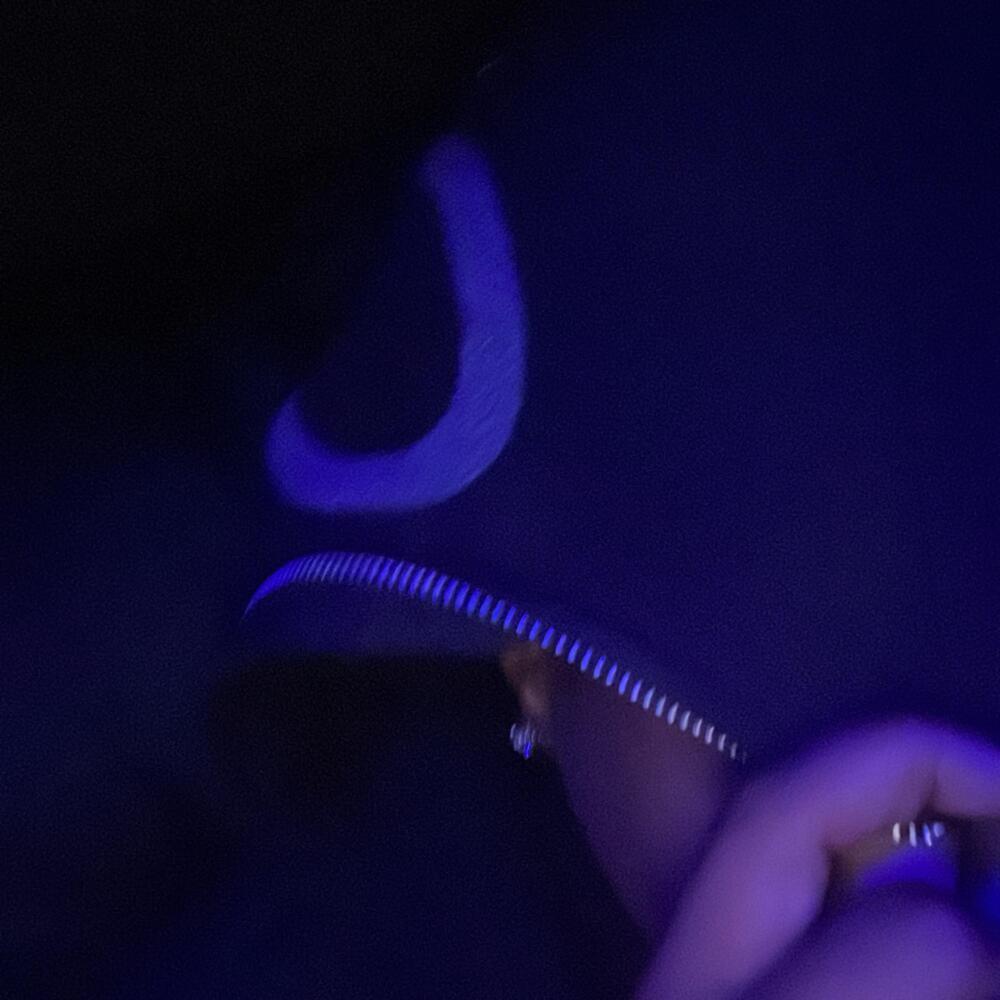 Lean Stomach (Explicit)