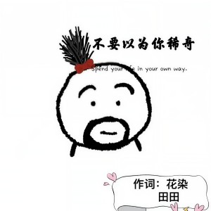 收听花染的不要以为你稀奇（女生版） (伴奏)歌词歌曲